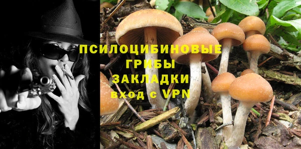 дживик Алзамай