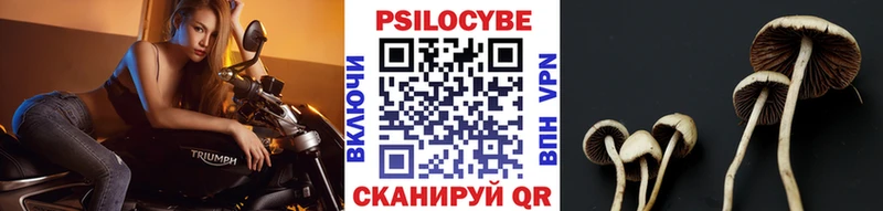 Псилоцибиновые грибы прущие грибы  Сатка 