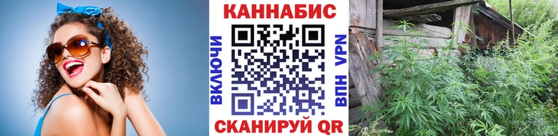 Конопля MAZAR Сатка